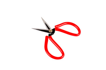 Red scissor isolated on white background