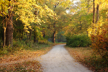 Morning autumn landscape with footpath