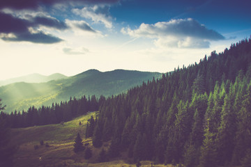 Fototapeta premium Piękny letni krajobraz w górach.