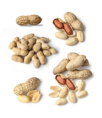 Obraz premium Set of Peanut isolated