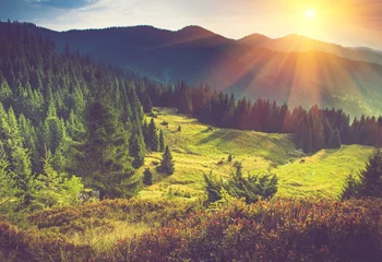 Zelfklevend Fotobehang Beautiful summer landscape in the mountains at sunshine. © vovik_mar