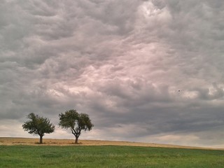Zwei einsame Bäume in einer Landschaft