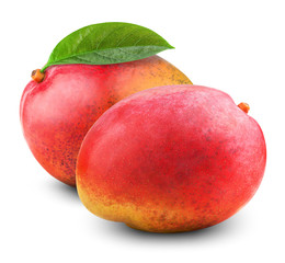 Fresh mango