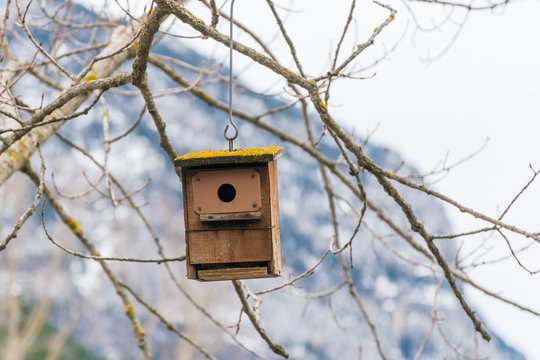 Casita de pajaros de madera