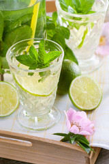 Kräuterlimonade mit Minze