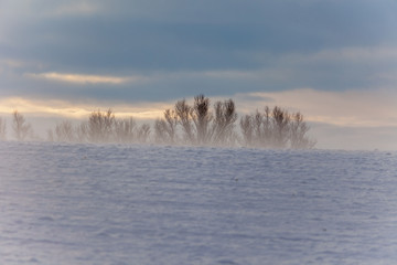 Winterlandschaft