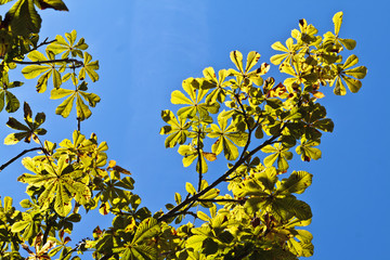 Marsais (Charente maritime)