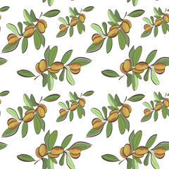 Seamless flat argan fruits pattern