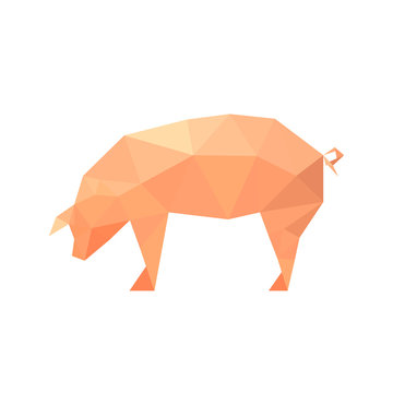 Illustration of polygonal pig