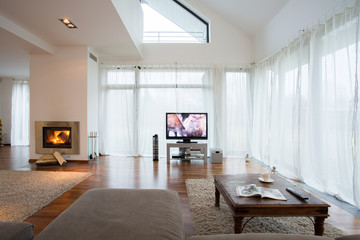 Big exclusive living room