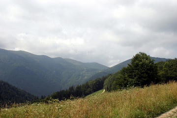 Bieszczady - połoniny bieszczadzkie