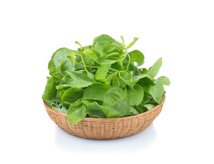 fresh spinach on white background
