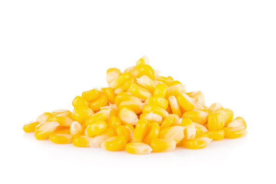 yellow corn isolated on the white