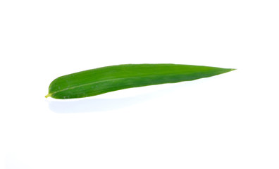 Green bamboo leaves on a white background