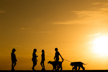 Fototapeta na wymiar Silhouette people with the dog walking at sunset