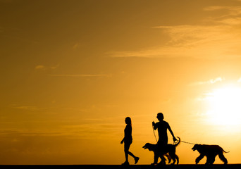 Naklejka na ściany i meble Silhouette people with the dog walking at sunset