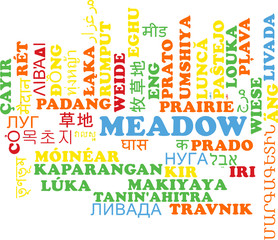 Meadow multilanguage wordcloud background concept