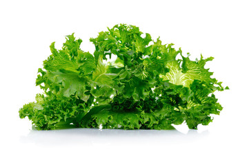 Obraz premium fresh lettuce leaves isolated on white