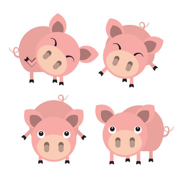 Four cute cartoon pigs. Vector illustration