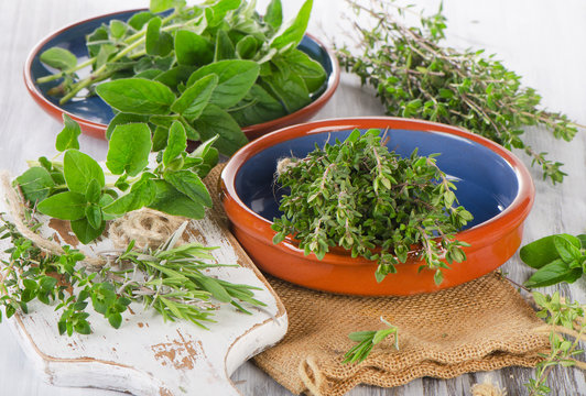 Variety fresh green mediterranean herbs.