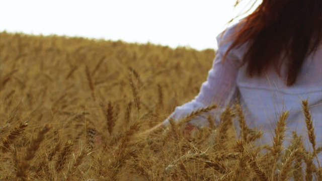 A younger girl walks through a wheat field touching the husks during magic hour