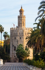 Fototapeta na wymiar view of Torre del Oro. Seville