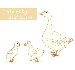 Goose and gosling