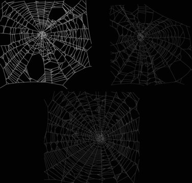 three white spider webs collection