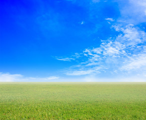 Fototapeta na wymiar grass and sky