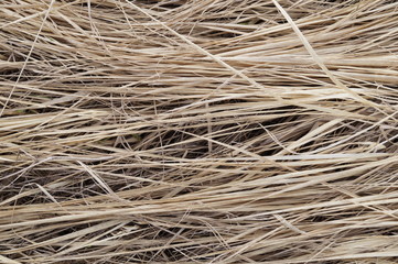 Background the dried-up grass