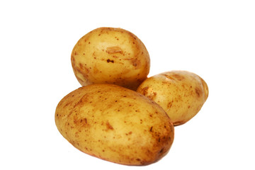 клубень картофеля