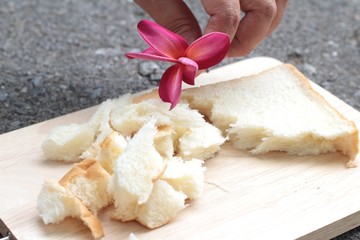 slice of bread on wood background