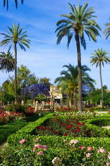 Fototapeta premium Gardens of Museum of Arts and Traditions of Sevilla, Spain.