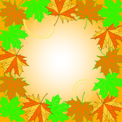Autumn leaves