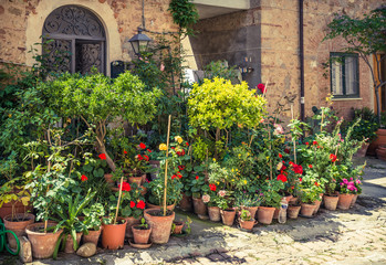 Fototapeta na wymiar Typical italian street with flowers, Bolgheri, Tuscany, Italy