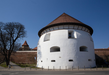 Fototapeta premium thick bastion