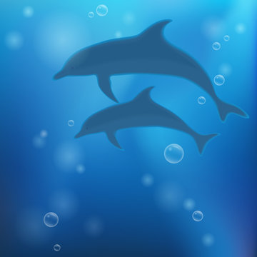 Underwater background with dolphins.