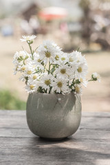 Blossom flower in vase on table.