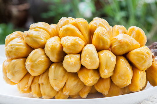 Group of fresh chempedak arils, a fruit native to South East Asi