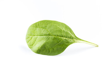 Fototapeta na wymiar Green spinach on a white background