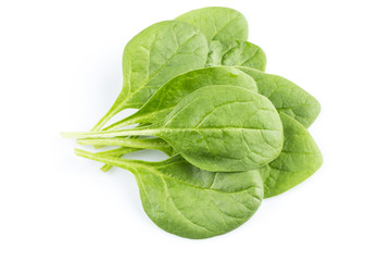 Green spinach on a white background