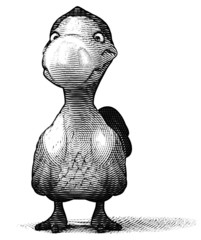 Dodo © Julien Tromeur
