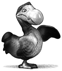 Dodo © Julien Tromeur