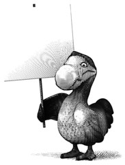 Dodo © Julien Tromeur