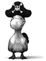 Dodo © Julien Tromeur