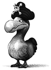 Dodo © Julien Tromeur