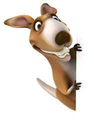 Fun kangaroo © Julien Tromeur