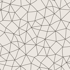 Vector seamless pattern of polygonal lines in a network