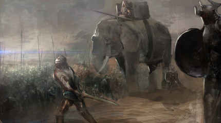 Obraz premium słoń