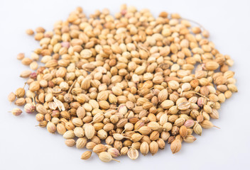 Coriander seed over white background